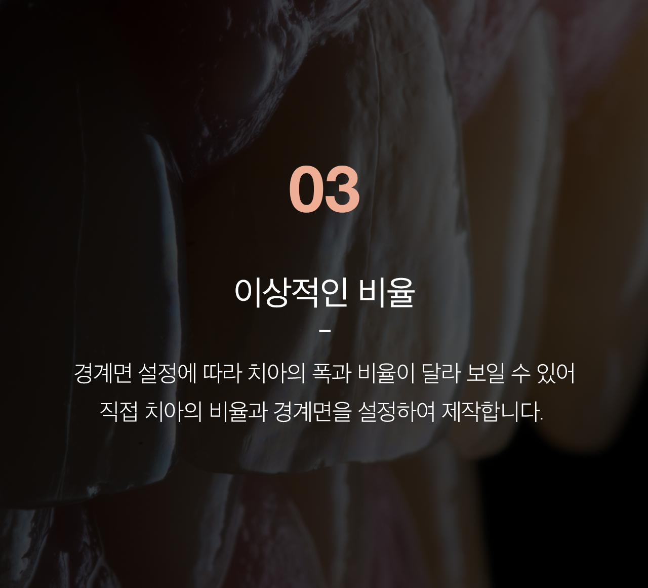 이상적인 비율